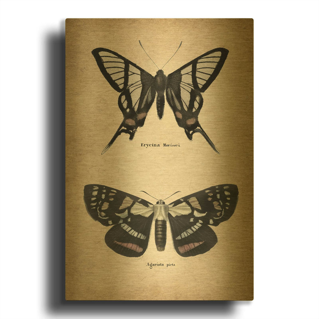 'Vintage Butterflies Duo 2' By Art Licensing Studio Gold Metal Wall Art