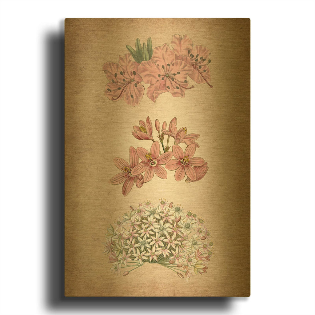'Vintage Flowers Pink' By Art Licensing Studio Gold Metal Wall Art