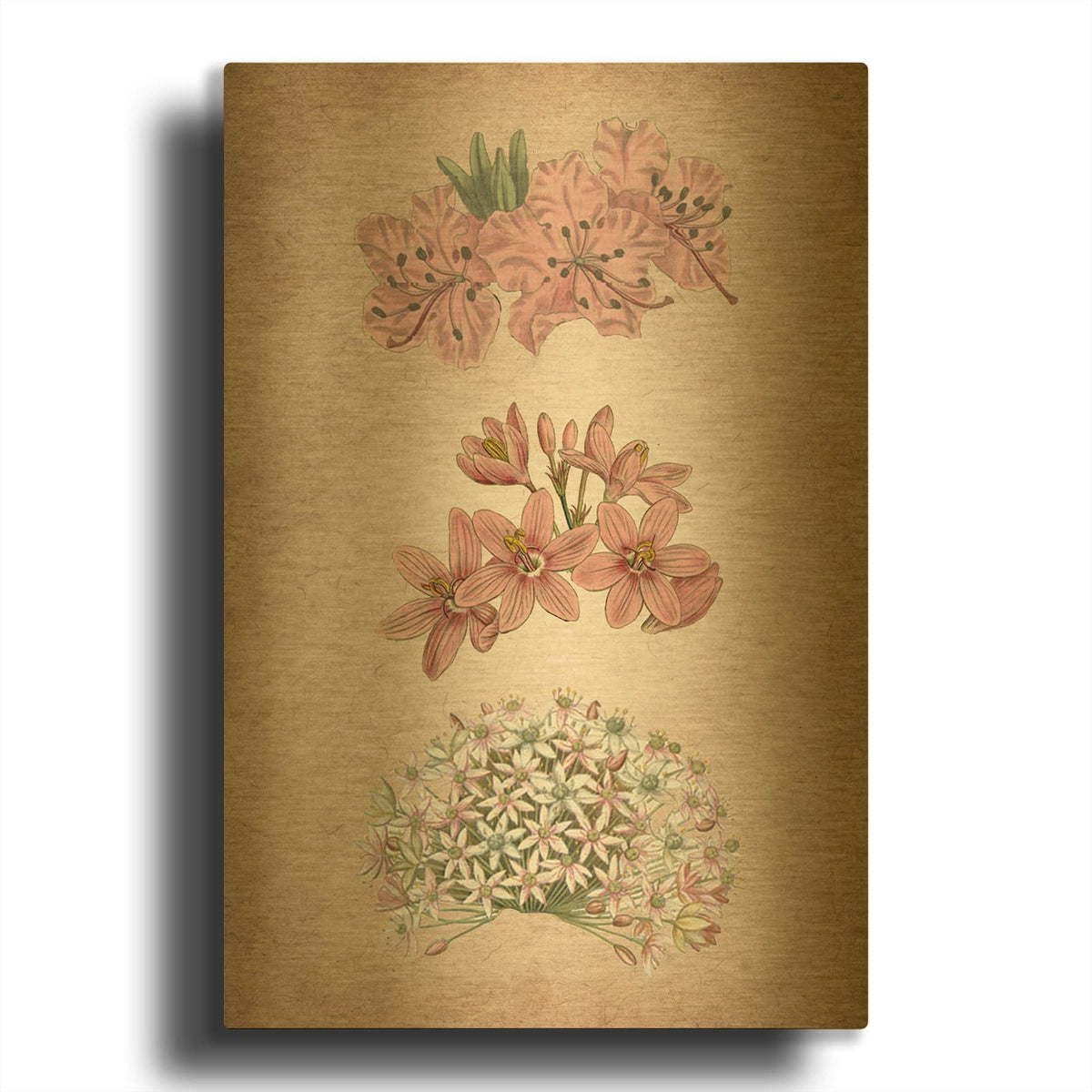 'Vintage Flowers Pink' By Art Licensing Studio Gold Metal Wall Art