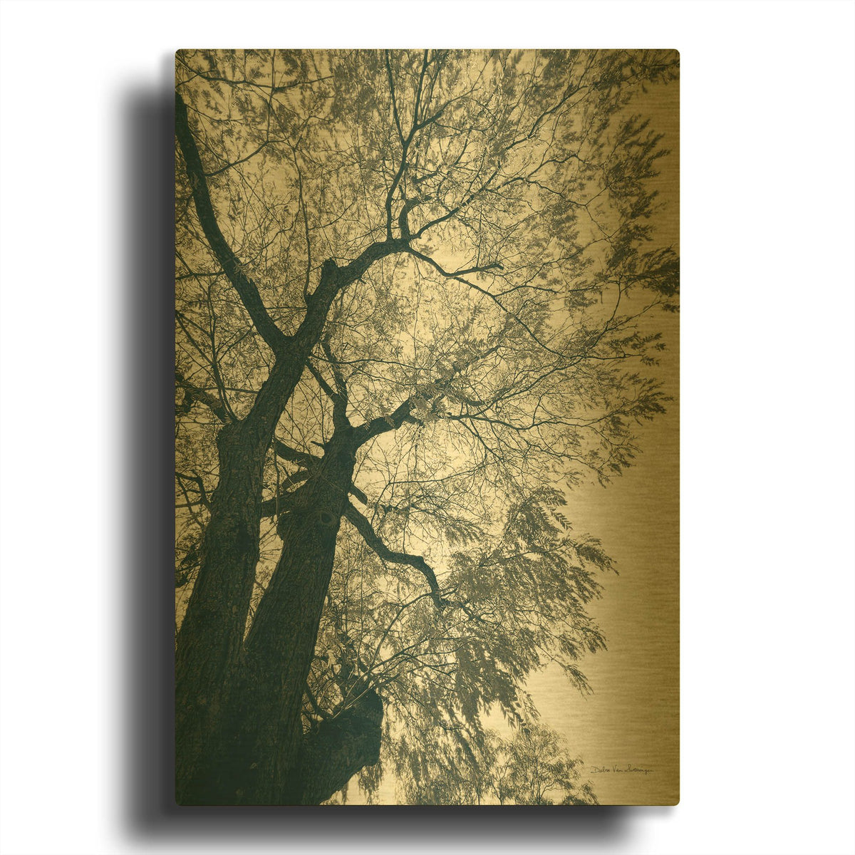 'Branching Out 1' By Debra Van Swearingen Gold Metal Wall Art