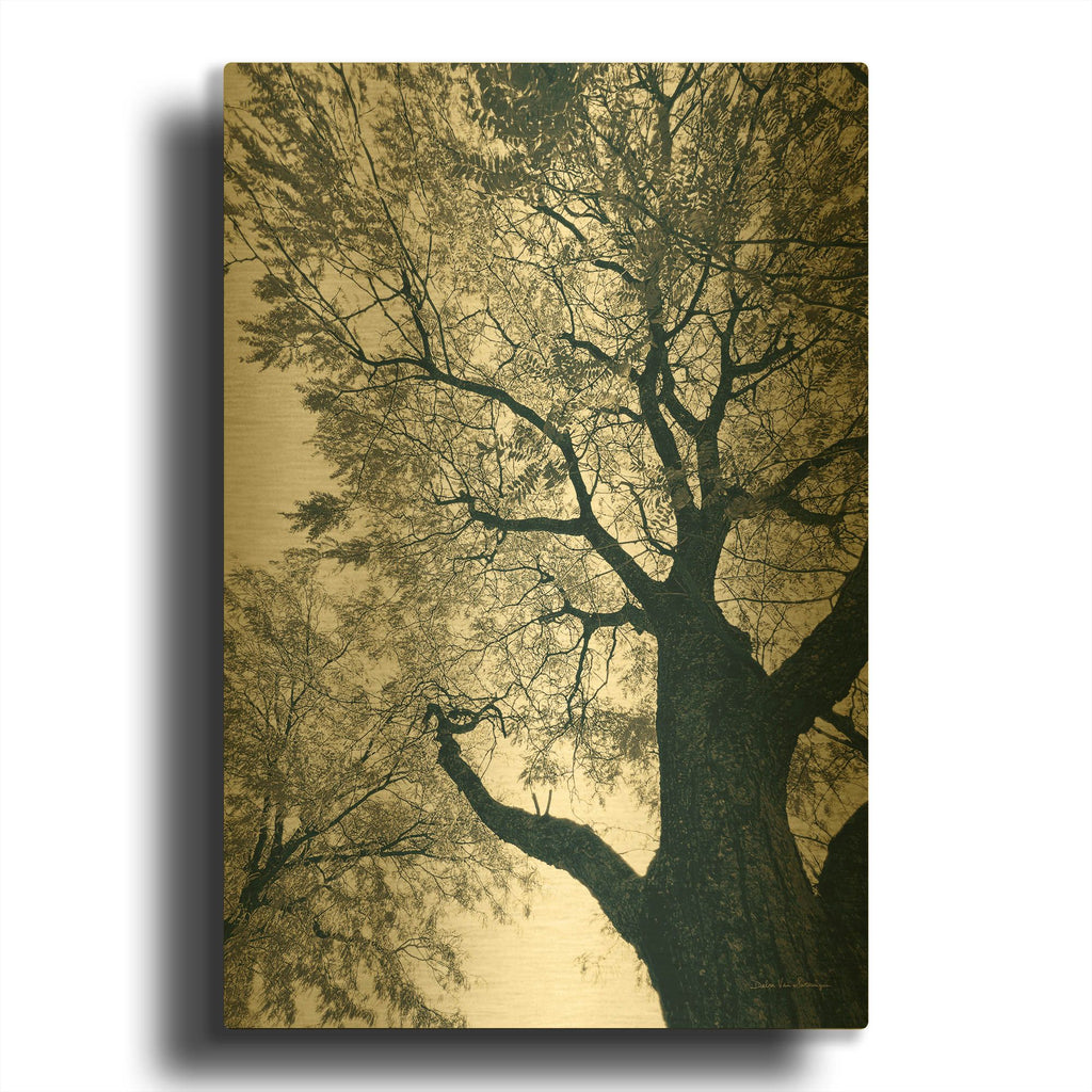'Branching Out 2' By Debra Van Swearingen Gold Metal Wall Art