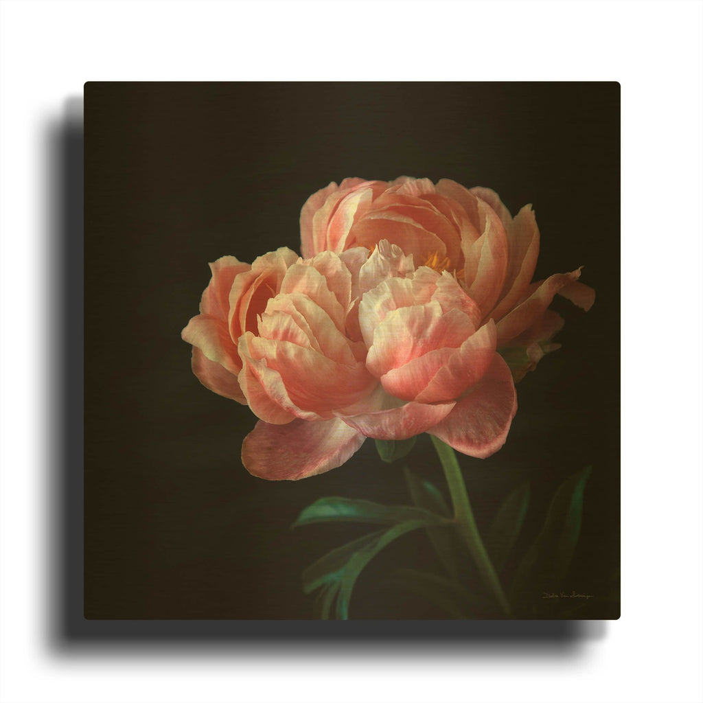 'Coral Peonies 5' By Debra Van Swearingen Gold Metal Wall Art