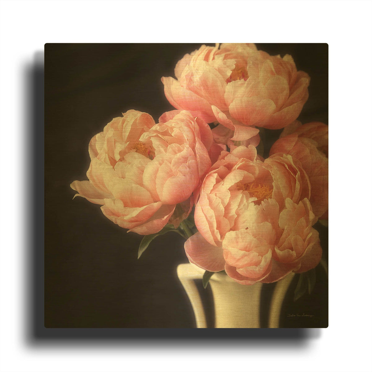 'Coral Peonies 6' By Debra Van Swearingen Gold Metal Wall Art