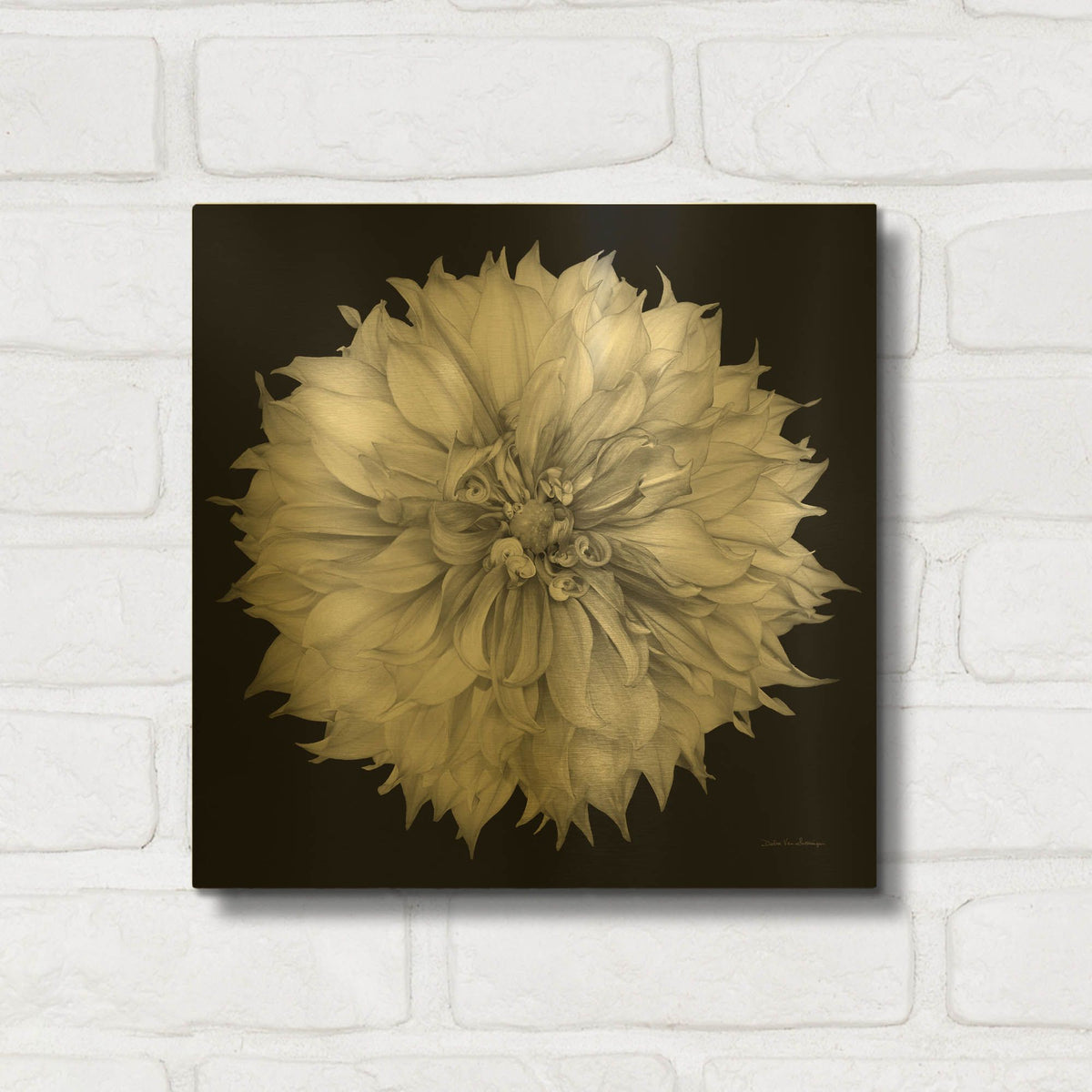 'Dahlia 1 Bw' By Debra Van Swearingen Gold Metal Wall Art