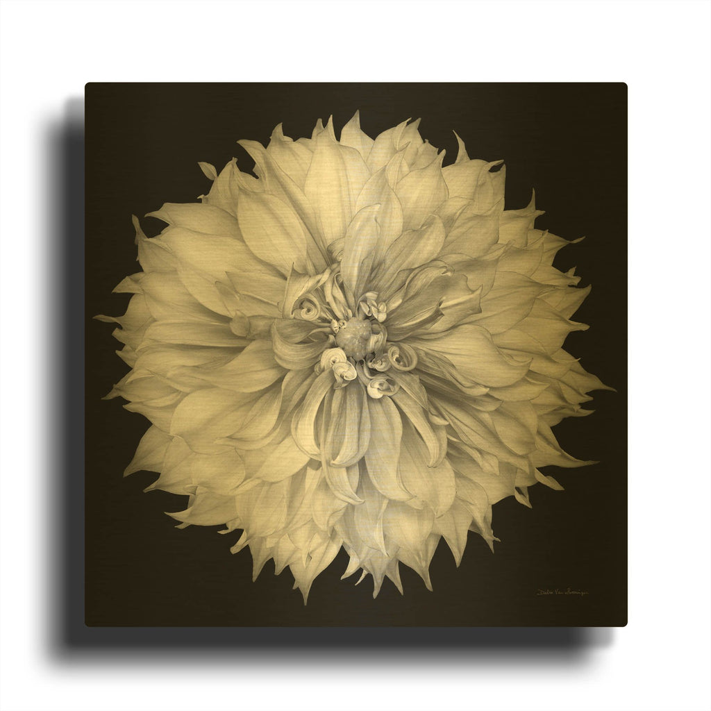 'Dahlia 1 Bw' By Debra Van Swearingen Gold Metal Wall Art