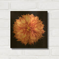 'Dahlia 1' By Debra Van Swearingen Gold Metal Wall Art