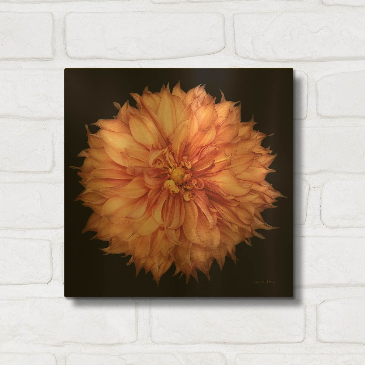'Dahlia 1' By Debra Van Swearingen Gold Metal Wall Art
