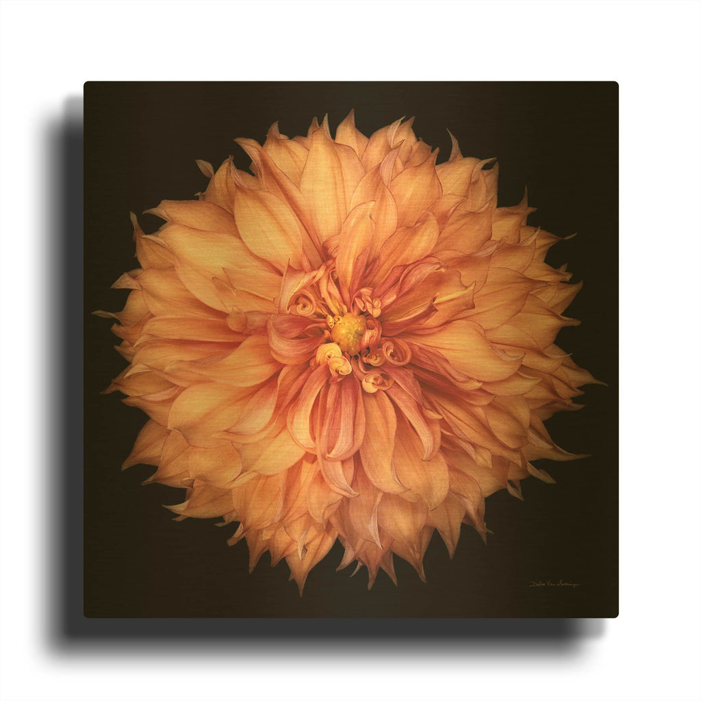 'Dahlia 1' By Debra Van Swearingen Gold Metal Wall Art