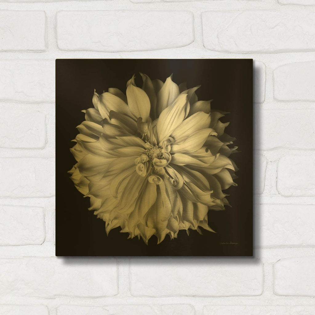 'Dahlia 2 Bw' By Debra Van Swearingen Gold Metal Wall Art