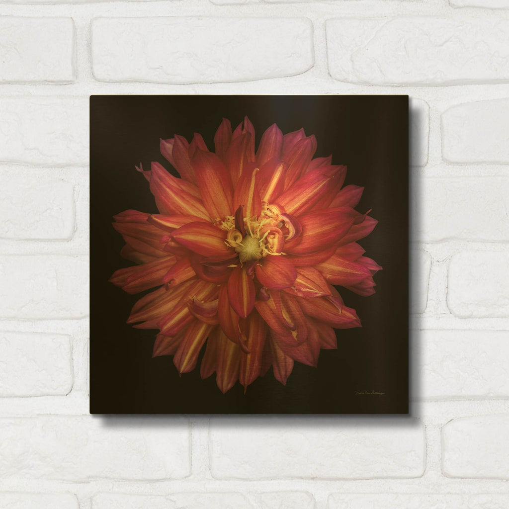 'Dahlia 3' By Debra Van Swearingen Gold Metal Wall Art