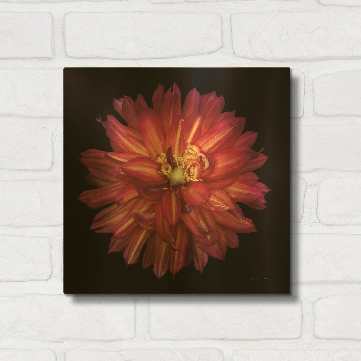 'Dahlia 3' By Debra Van Swearingen Gold Metal Wall Art