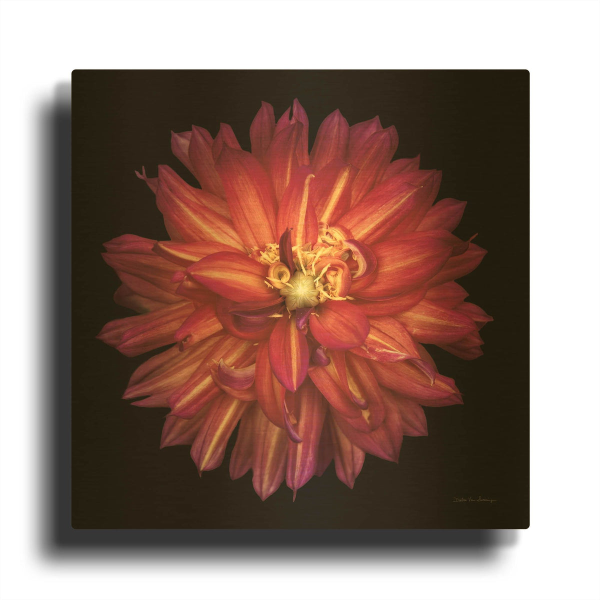 'Dahlia 3' By Debra Van Swearingen Gold Metal Wall Art