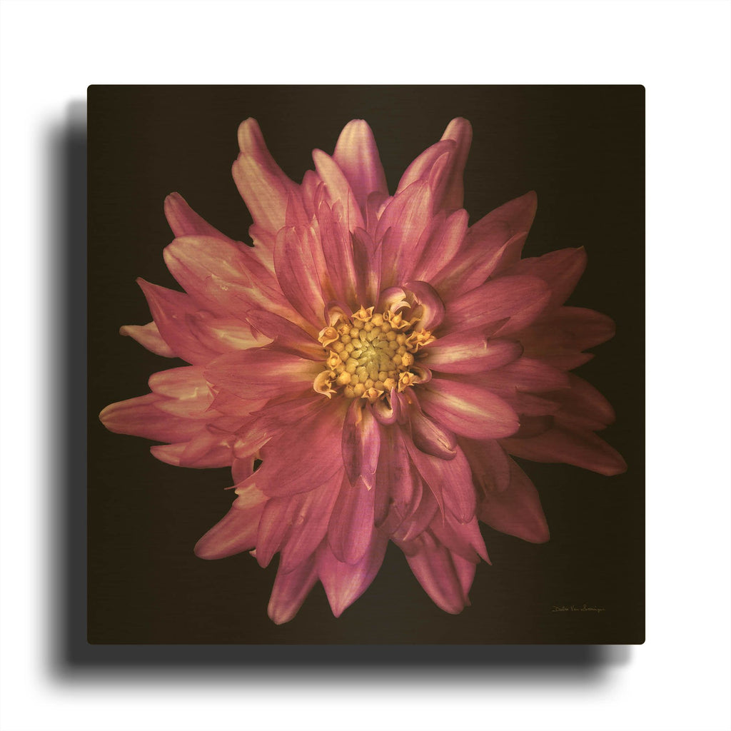 'Dahlia 5' By Debra Van Swearingen Gold Metal Wall Art