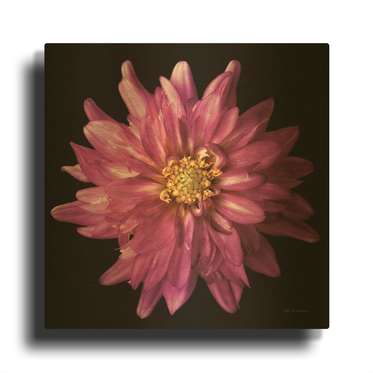 'Dahlia 5' By Debra Van Swearingen Gold Metal Wall Art