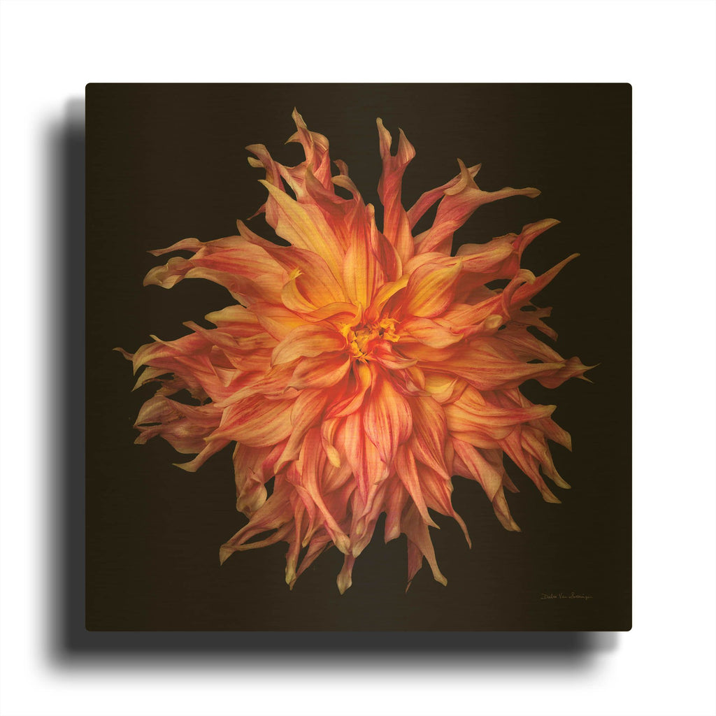 'Dahlia 6' By Debra Van Swearingen Gold Metal Wall Art