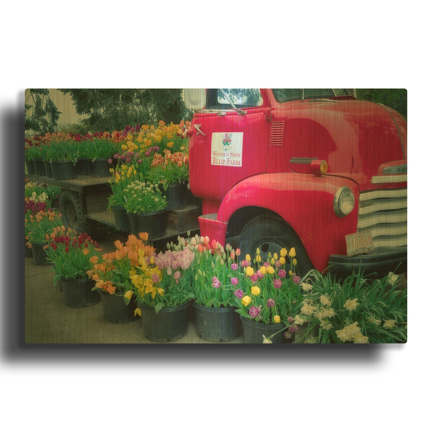 'Floral Truck' By Dennis Frates Gold Metal Wall Art