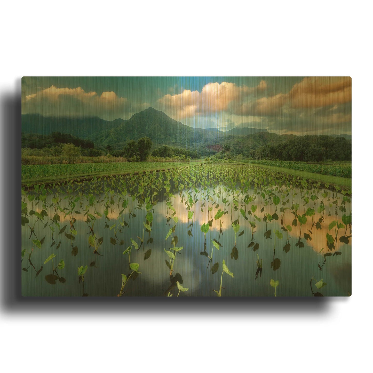 'Emerald Landscape' By Dennis Frates Gold Metal Wall Art