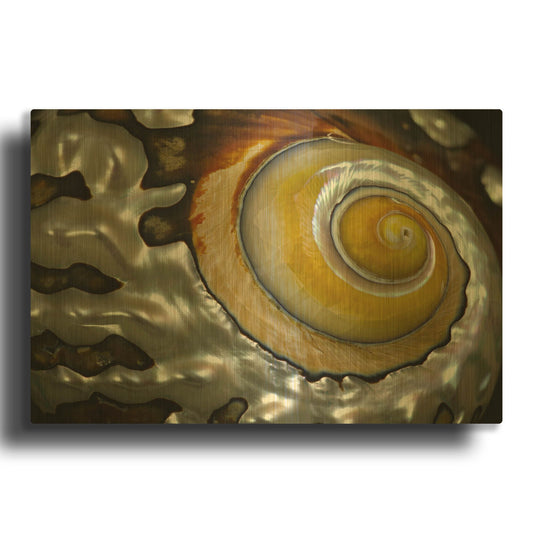 'Shell Spiral II' By Dennis Frates Gold Metal Wall Art