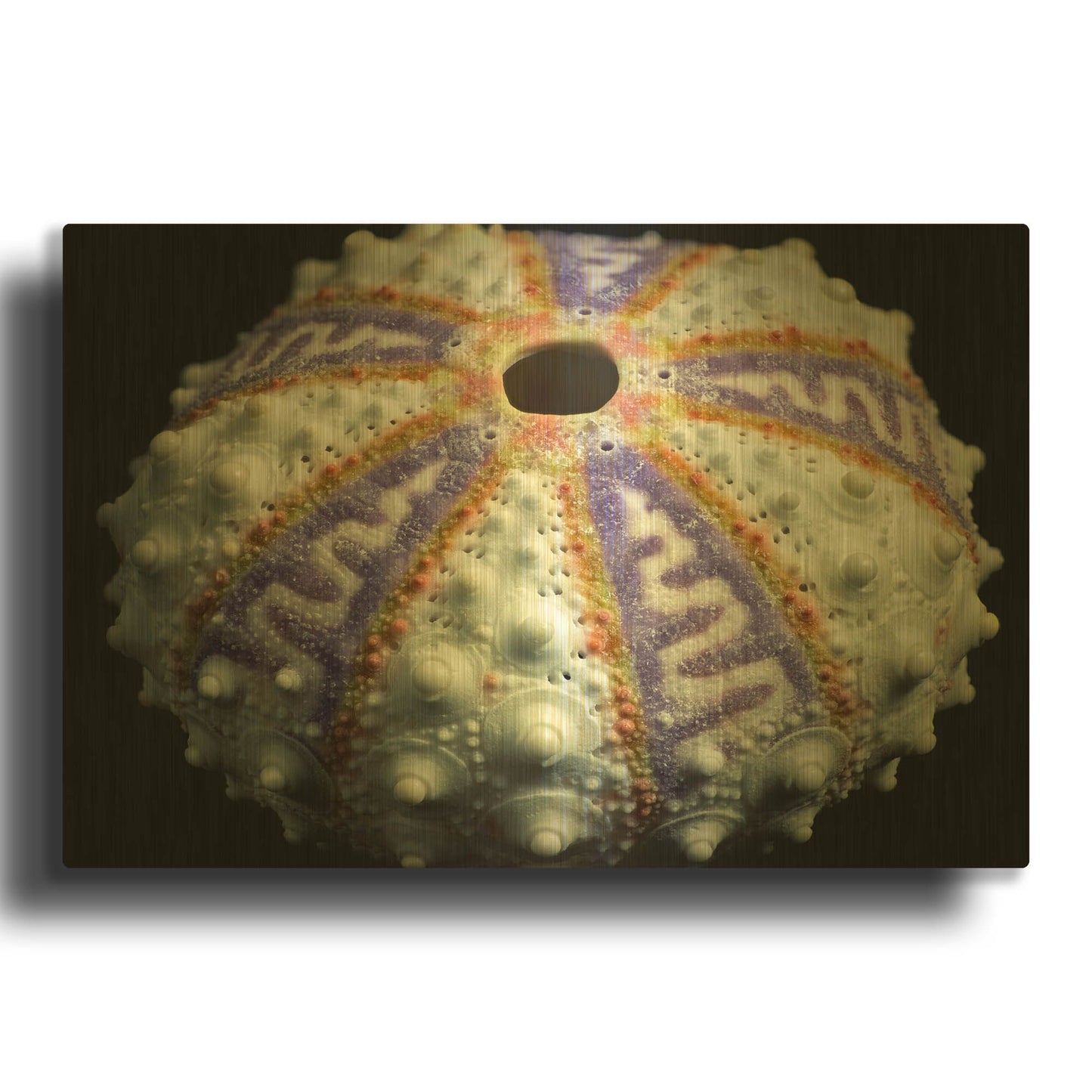 'Zig Zag' By Dennis Frates Gold Metal Wall Art