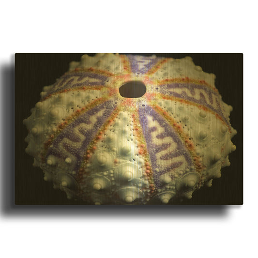 'Zig Zag' By Dennis Frates Gold Metal Wall Art