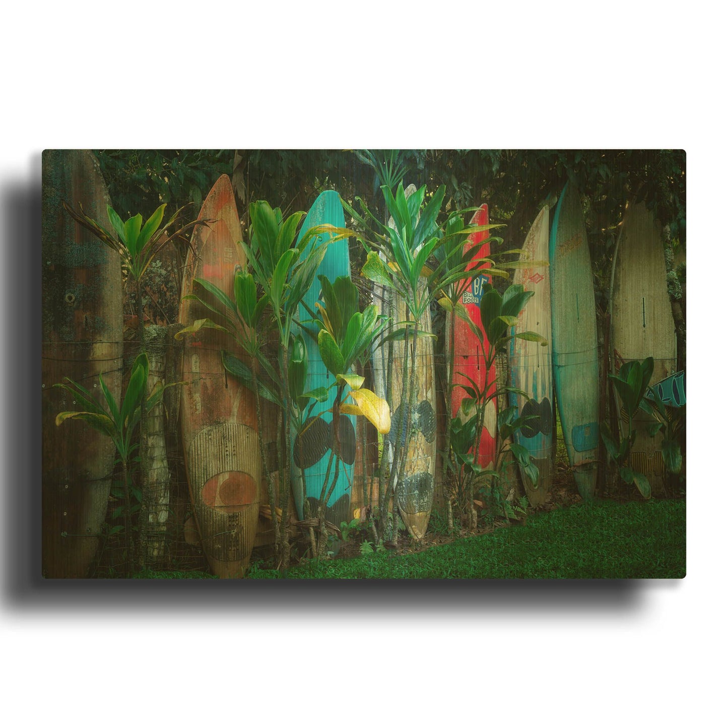 'Line Up' By Dennis Frates Gold Metal Wall Art