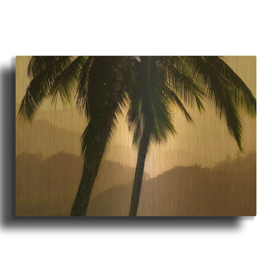 'Misty Palms I' By Dennis Frates Gold Metal Wall Art