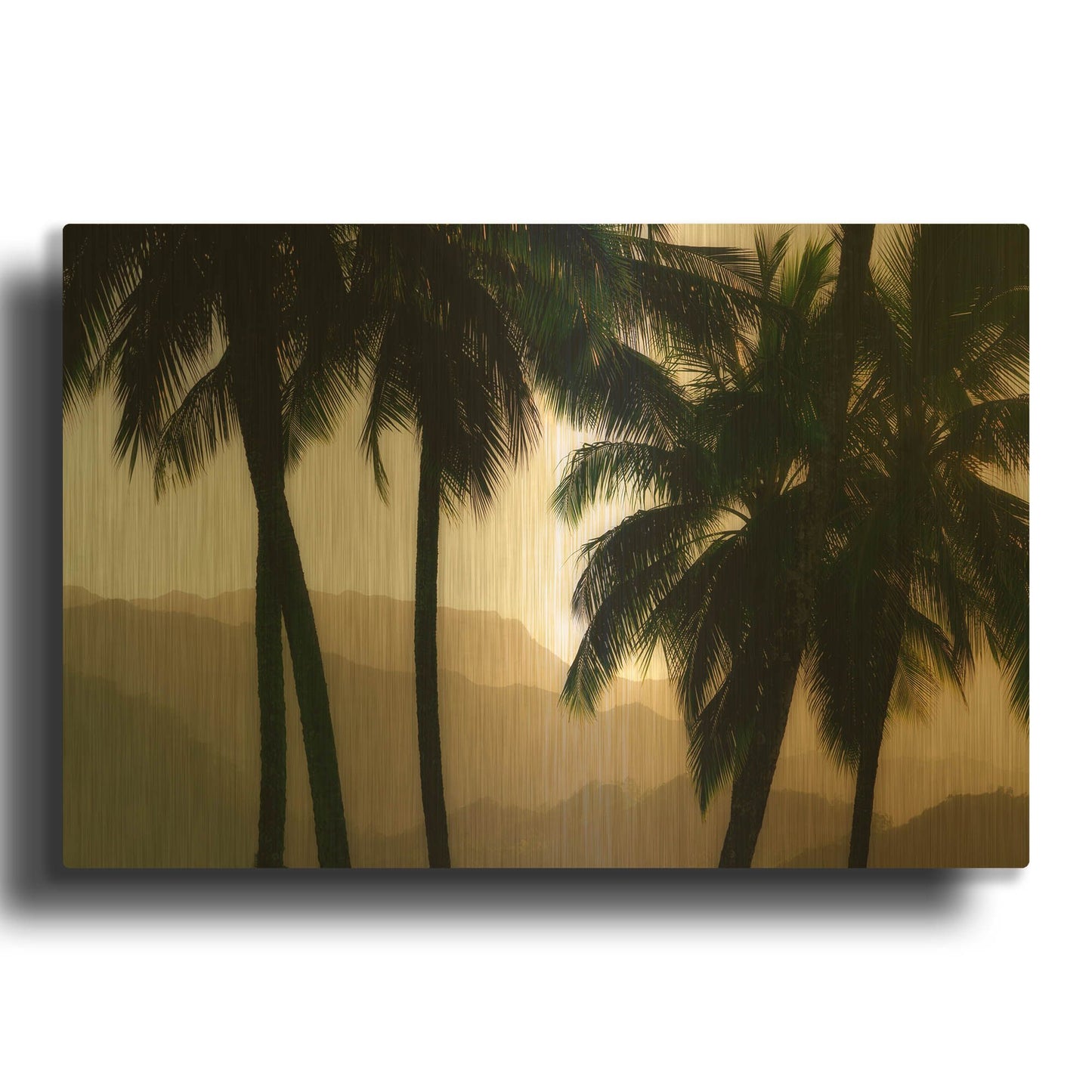 'Misty Palms II' By Dennis Frates Gold Metal Wall Art