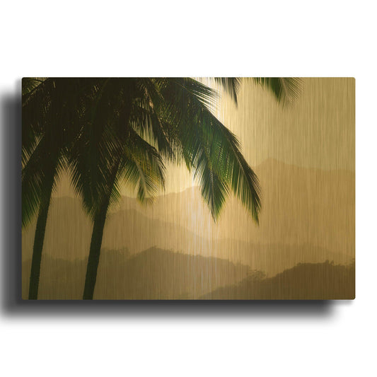 'Misty Palms III' By Dennis Frates Gold Metal Wall Art