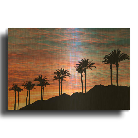 'Palm Tree Sunset' By Dennis Frates Gold Metal Wall Art