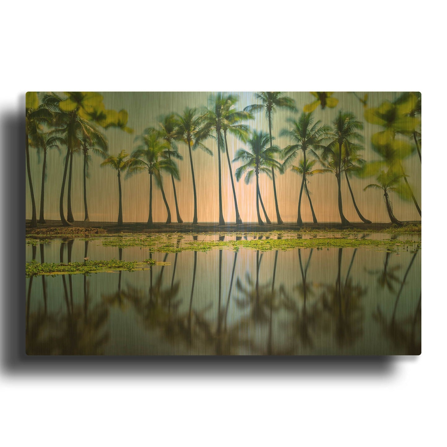 'Palm Tree Reflections' By Dennis Frates Gold Metal Wall Art