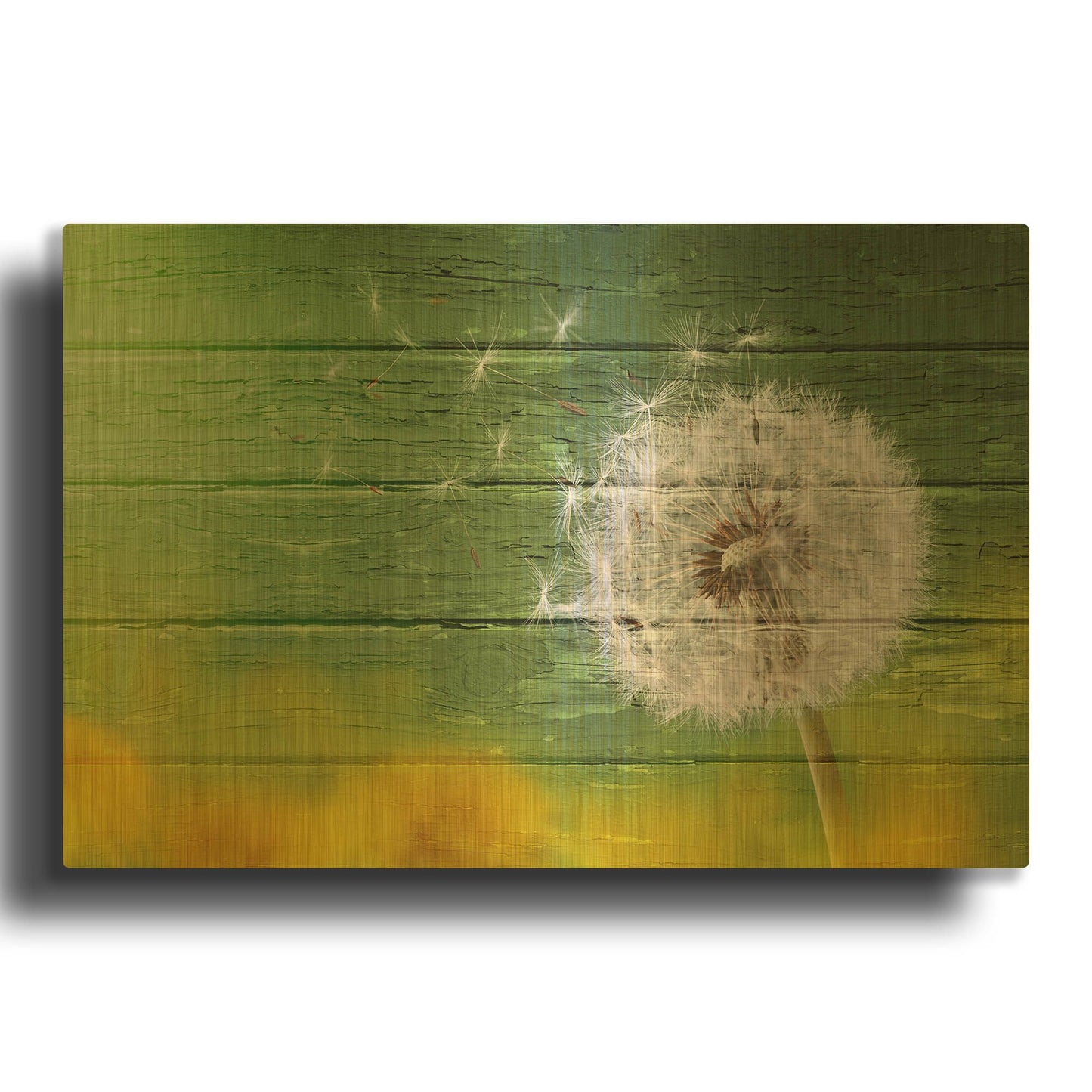 'Dandi Green' By Bess Hamiti Gold Metal Wall Art