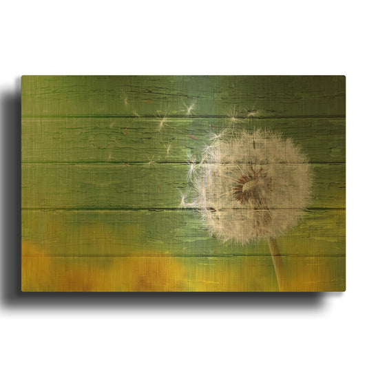 'Dandi Green' By Bess Hamiti Gold Metal Wall Art