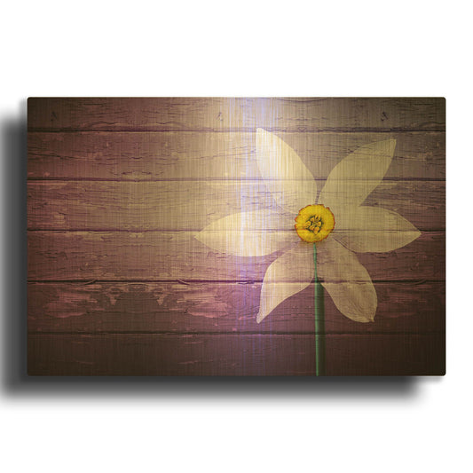'Flower Paradise - Wood' By Bess Hamiti Gold Metal Wall Art