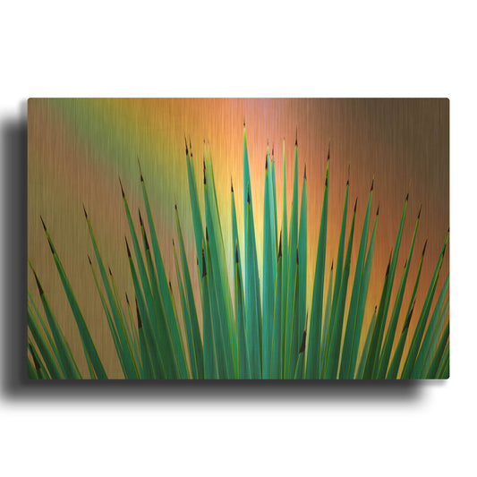 'Prism Plant' By Dennis Frates Gold Metal Wall Art