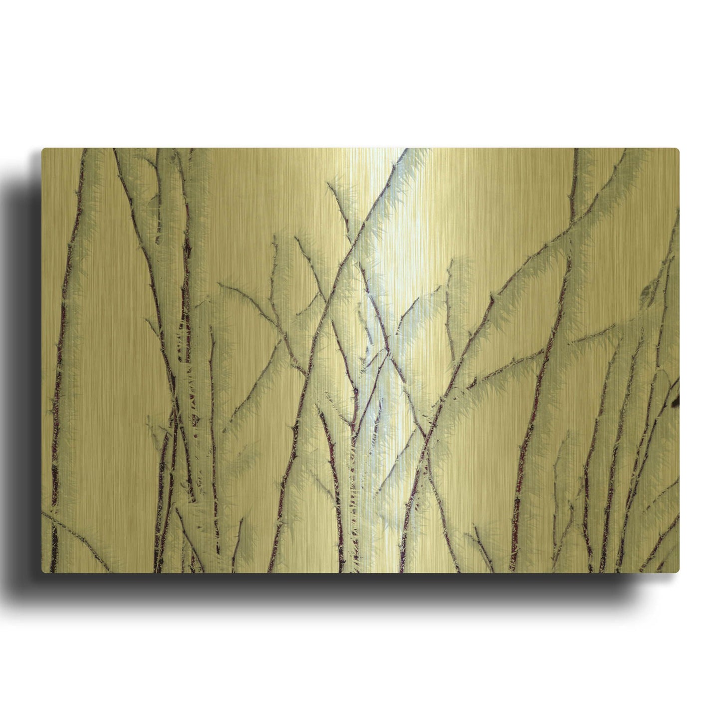 'Icy' By Dennis Frates Gold Metal Wall Art