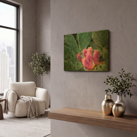 'Pink Cactus' By Dennis Frates Gold Metal Wall Art