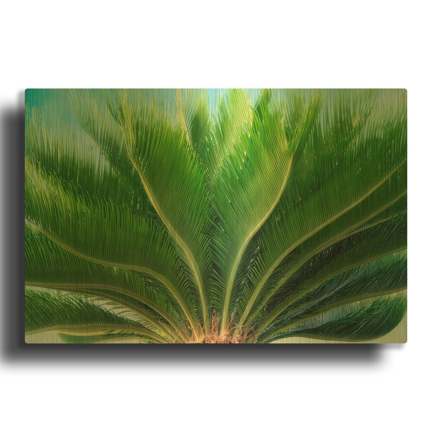 'Tropical III' By Dennis Frates Gold Metal Wall Art