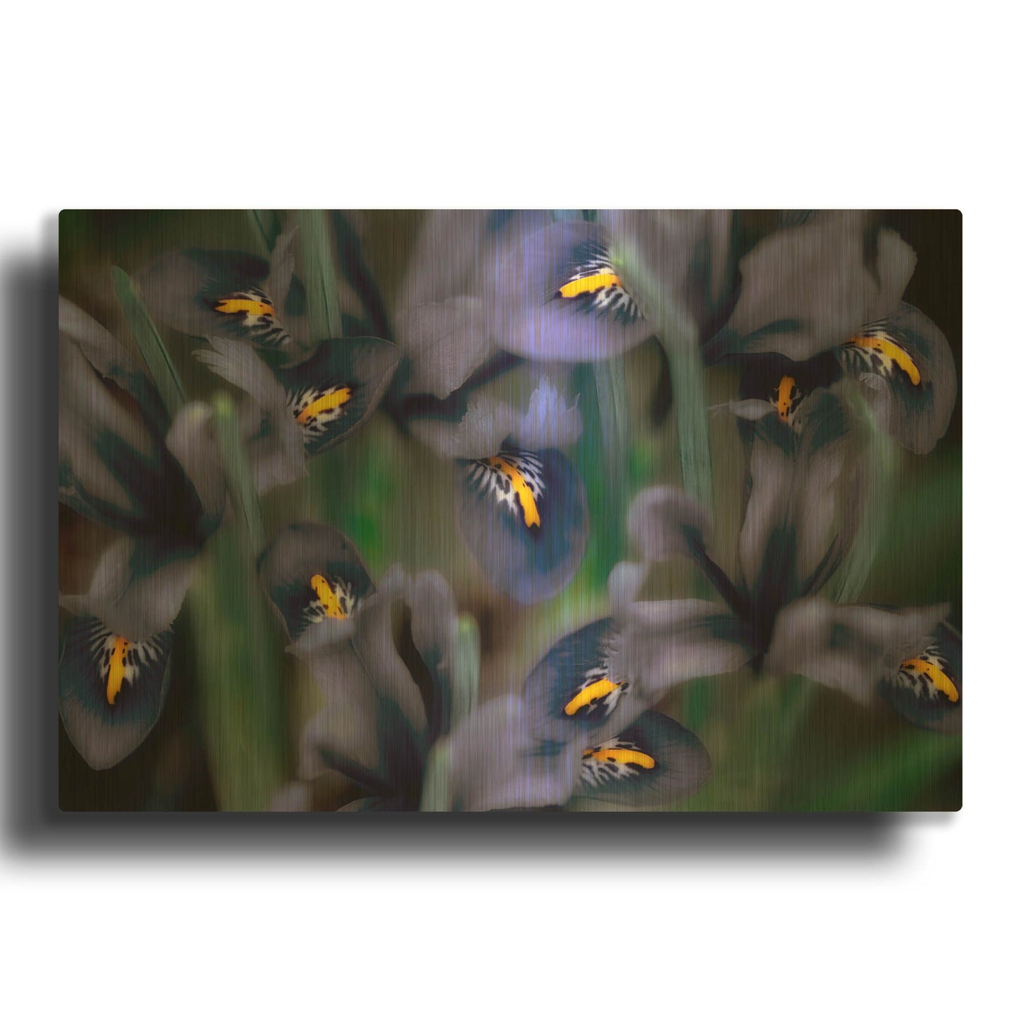'Irises' By Dennis Frates Gold Metal Wall Art