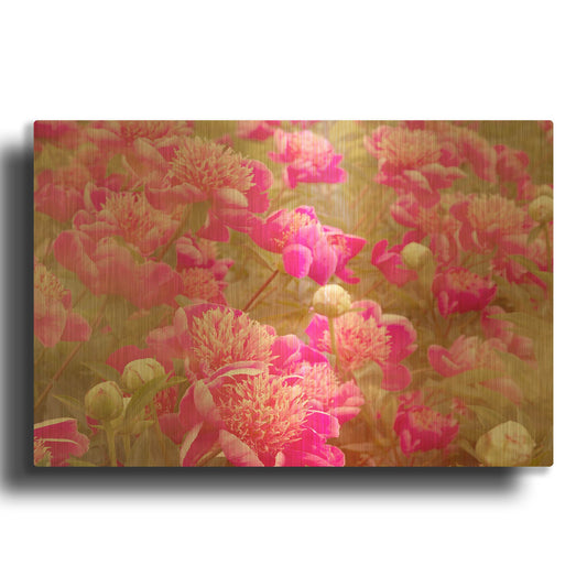 'Pinks' By Dennis Frates Gold Metal Wall Art