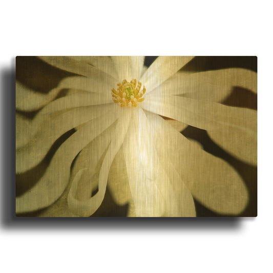 'White Flower' By Dennis Frates Gold Metal Wall Art
