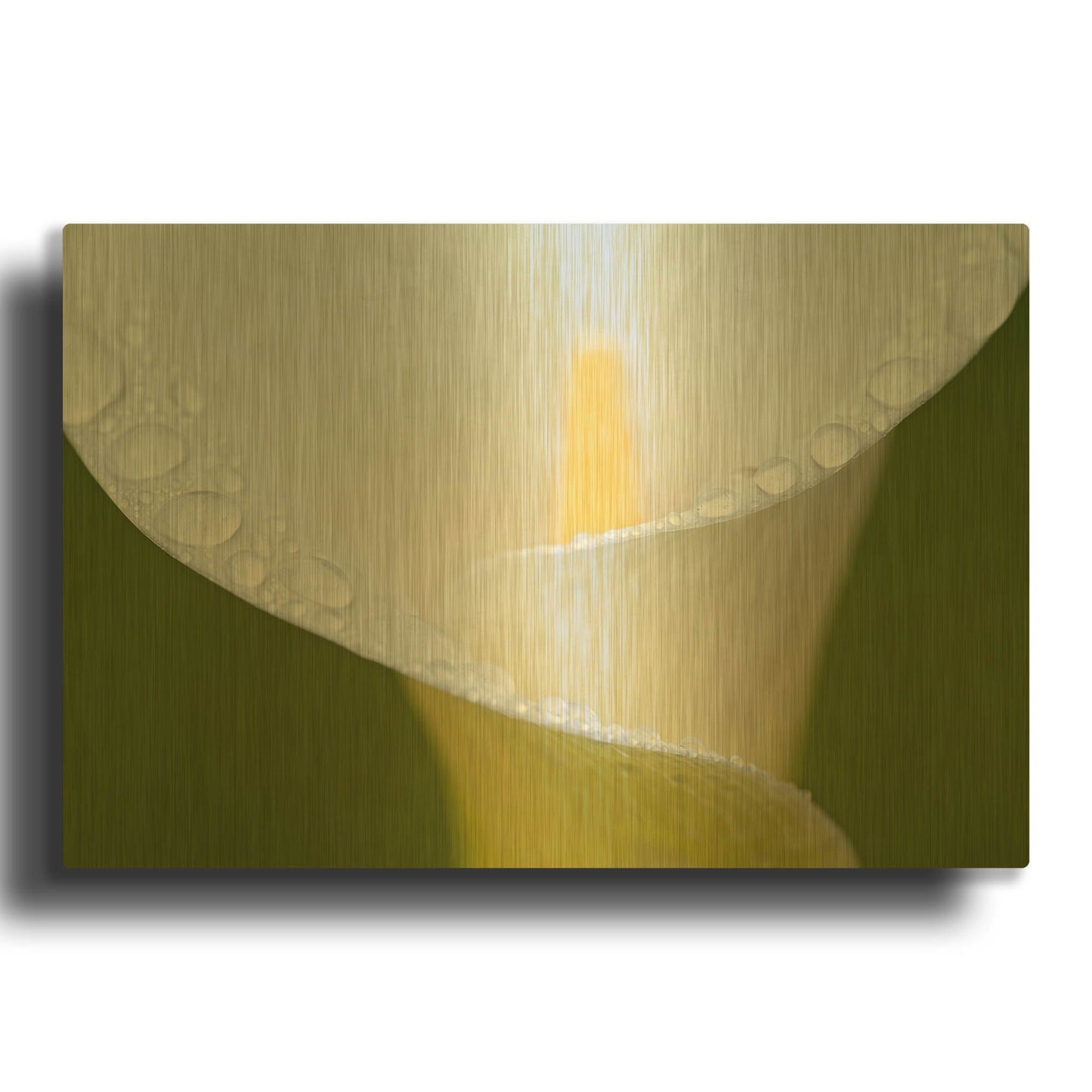 'White Flower II' By Dennis Frates Gold Metal Wall Art