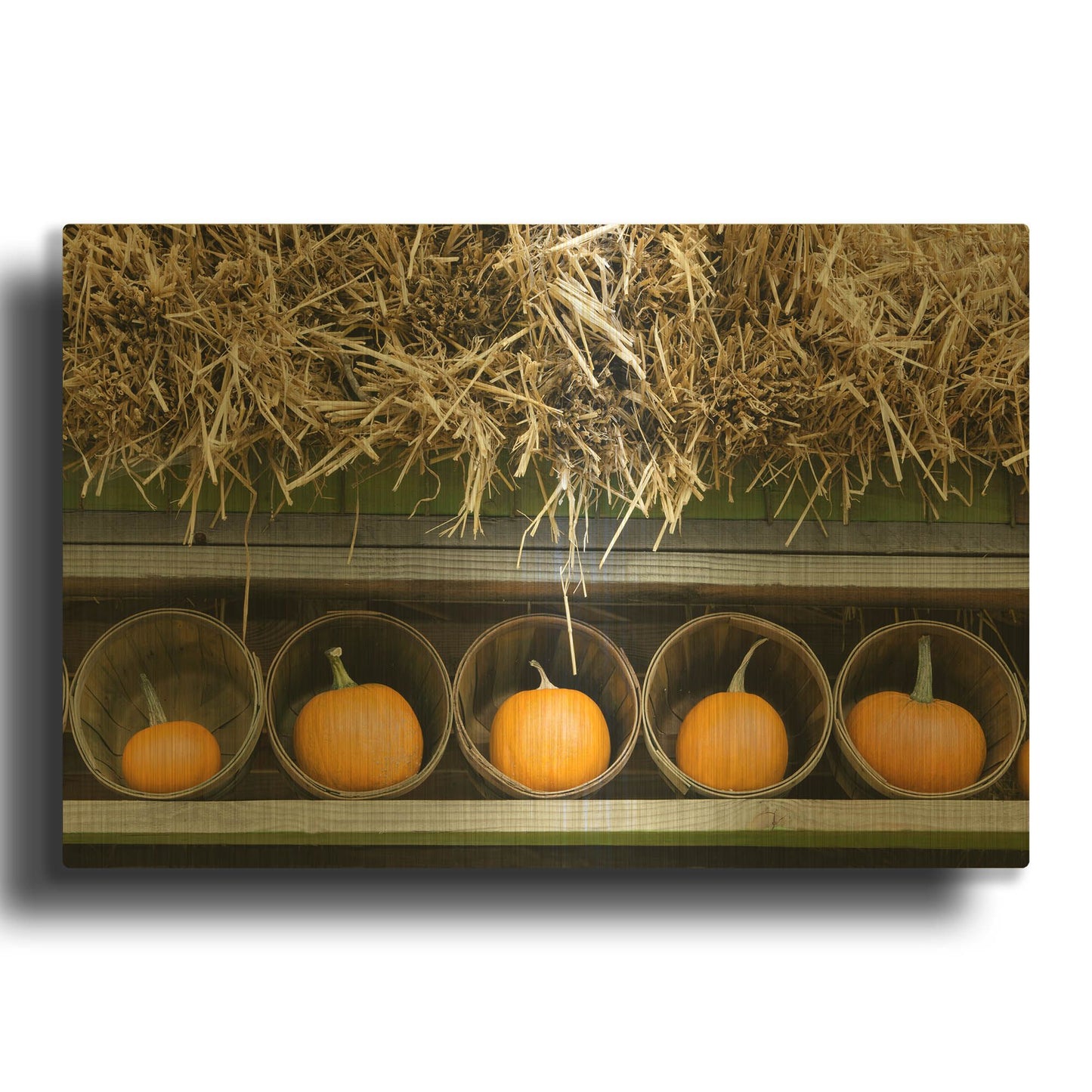 'More Pumpkins' By Dennis Frates Gold Metal Wall Art