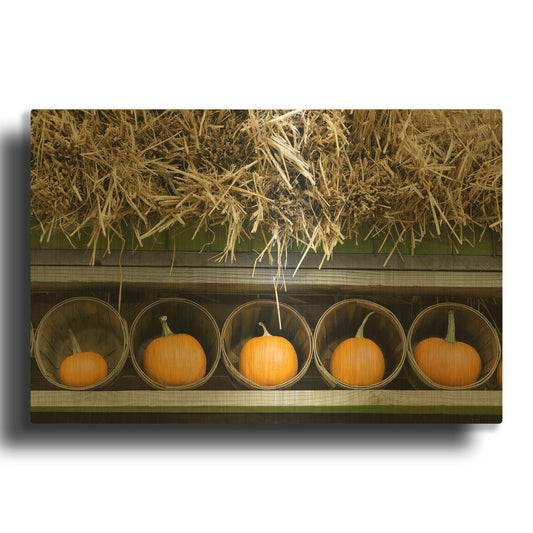 'More Pumpkins' By Dennis Frates Gold Metal Wall Art