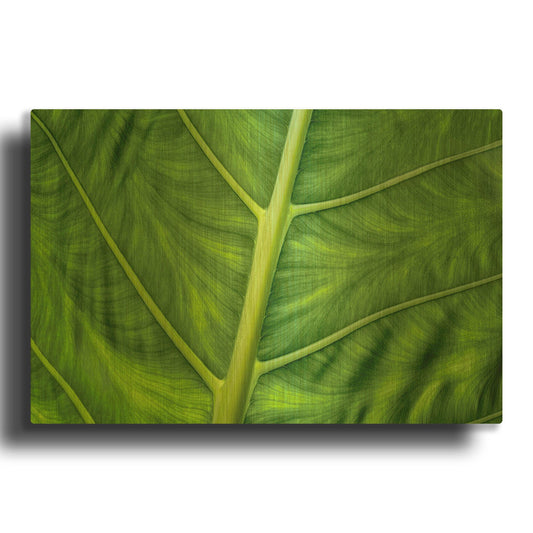 'Leaf Details' By Dennis Frates Gold Metal Wall Art