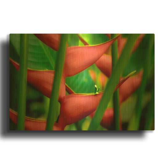 'Floral Details' By Dennis Frates Gold Metal Wall Art