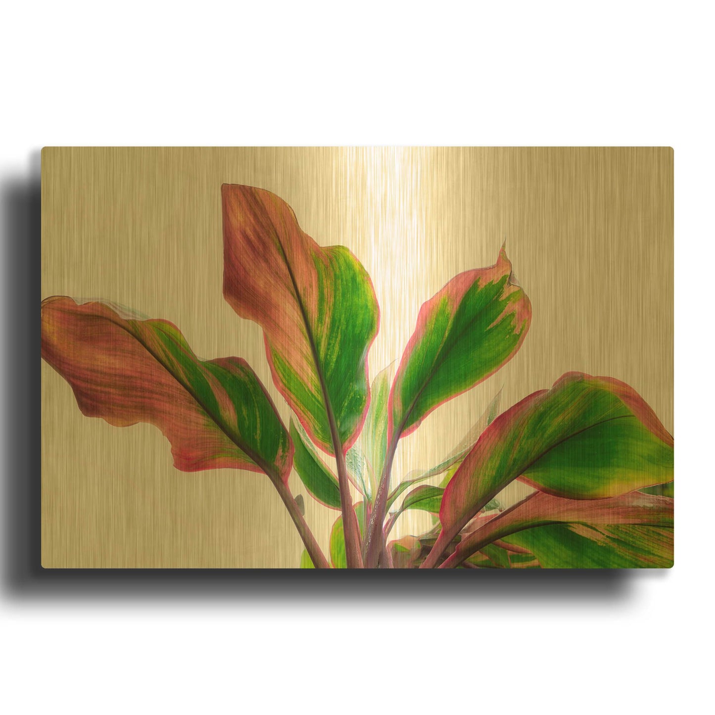 'Botanical' By Dennis Frates Gold Metal Wall Art