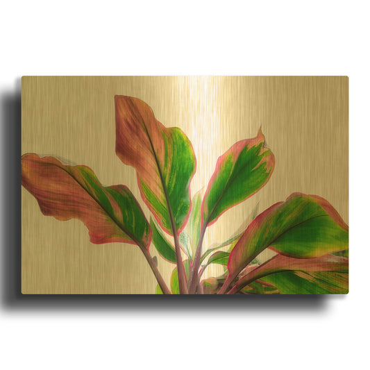 'Botanical' By Dennis Frates Gold Metal Wall Art