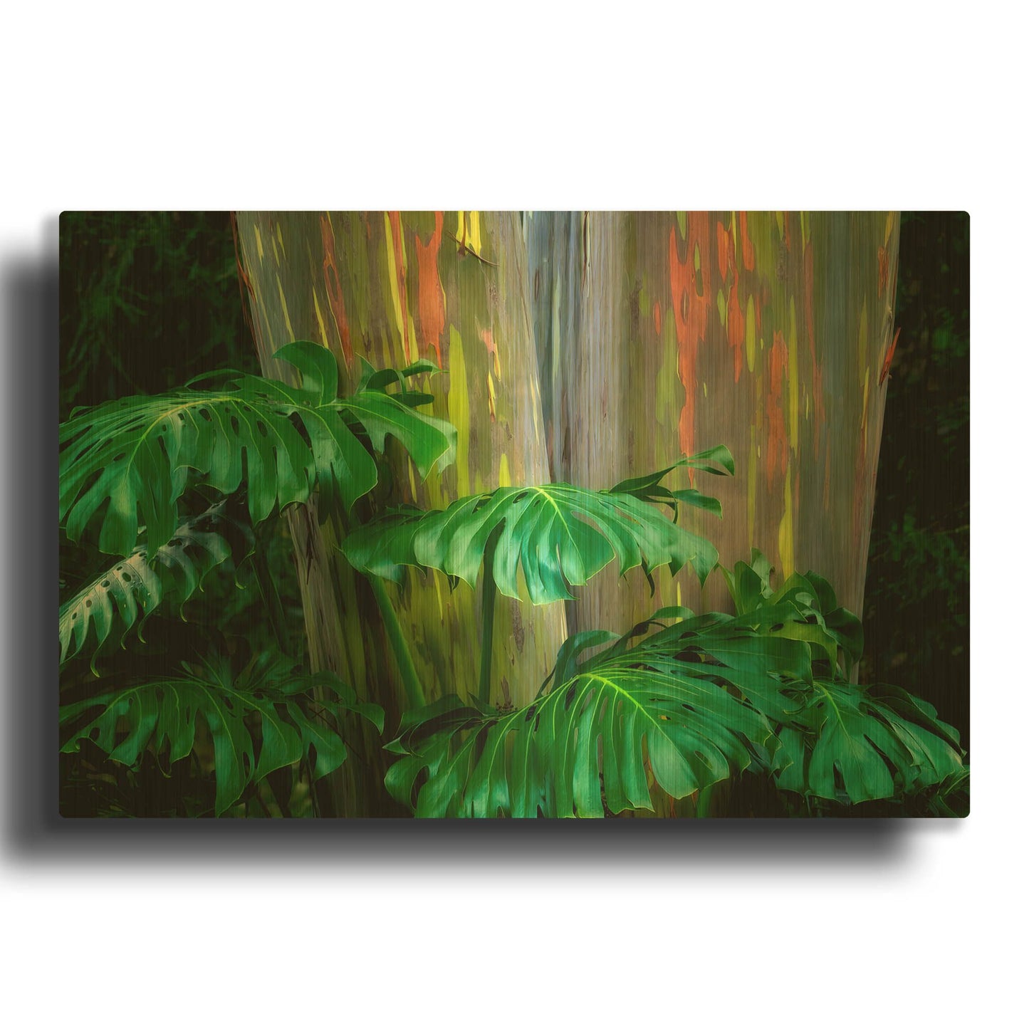 'Tropical Leaves' By Dennis Frates Gold Metal Wall Art
