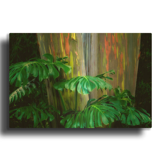 'Tropical Leaves' By Dennis Frates Gold Metal Wall Art