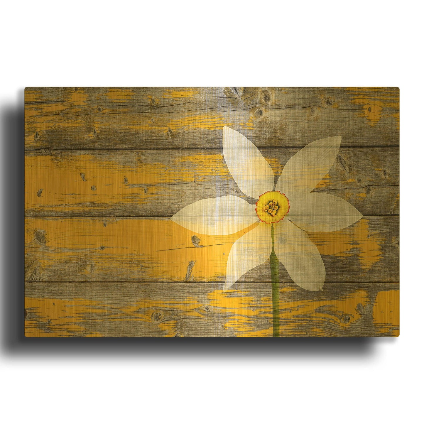 'A Rustic Paradise yellow flower' By Bess Hamiti Gold Metal Wall Art